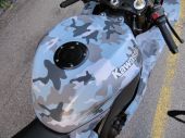 Camo-Ninja10[1]